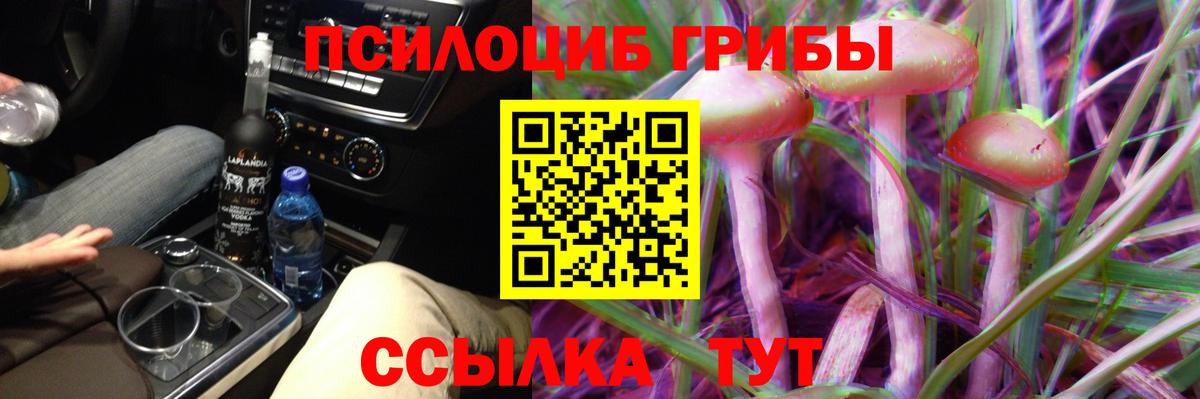 Баксан  Псилоцибиновые грибы MAGIC MUSHROOMS  Вход с VPN 